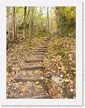 rando_191124_0000012_db * 768 x 1024 * (275KB)