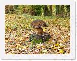 rando_191124_0000014_db * 1024 x 768 * (239KB)